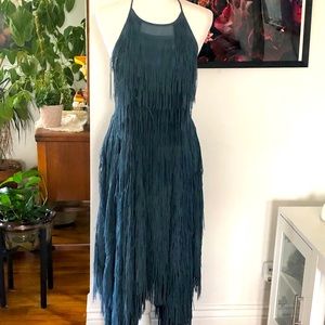 Cleaning out my closet My life is too boring for this gorgeous Zara fringe dress